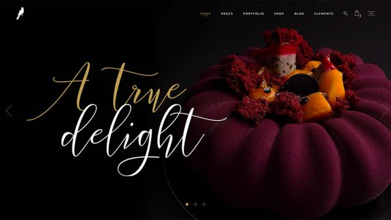 landing-1-img-2-1-572x322