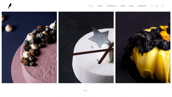 landing-1-img-7-572x322