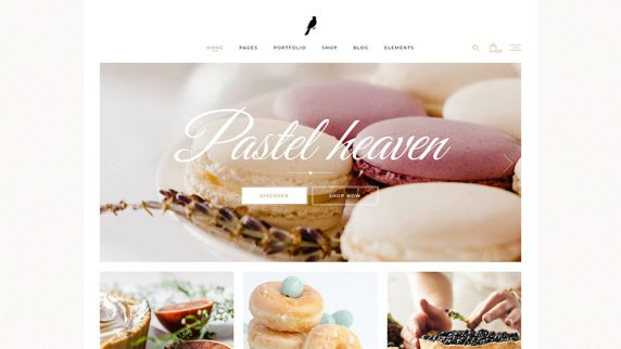 landing-1-img-8-572x322